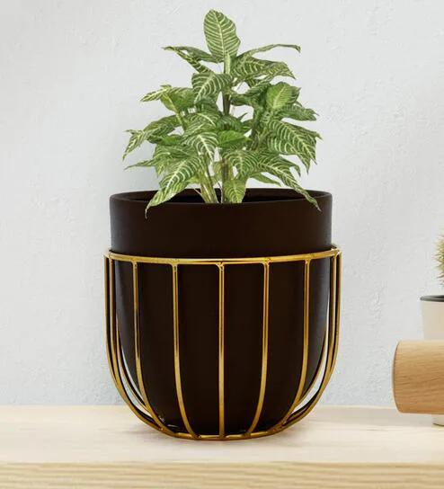Gold Cage Bowl Planter